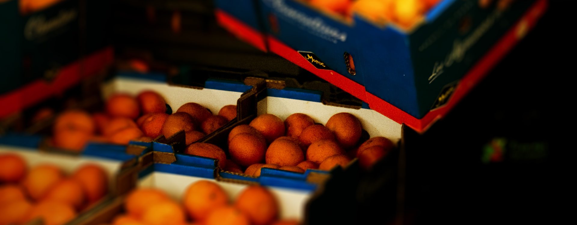 frukt1d-1920x750